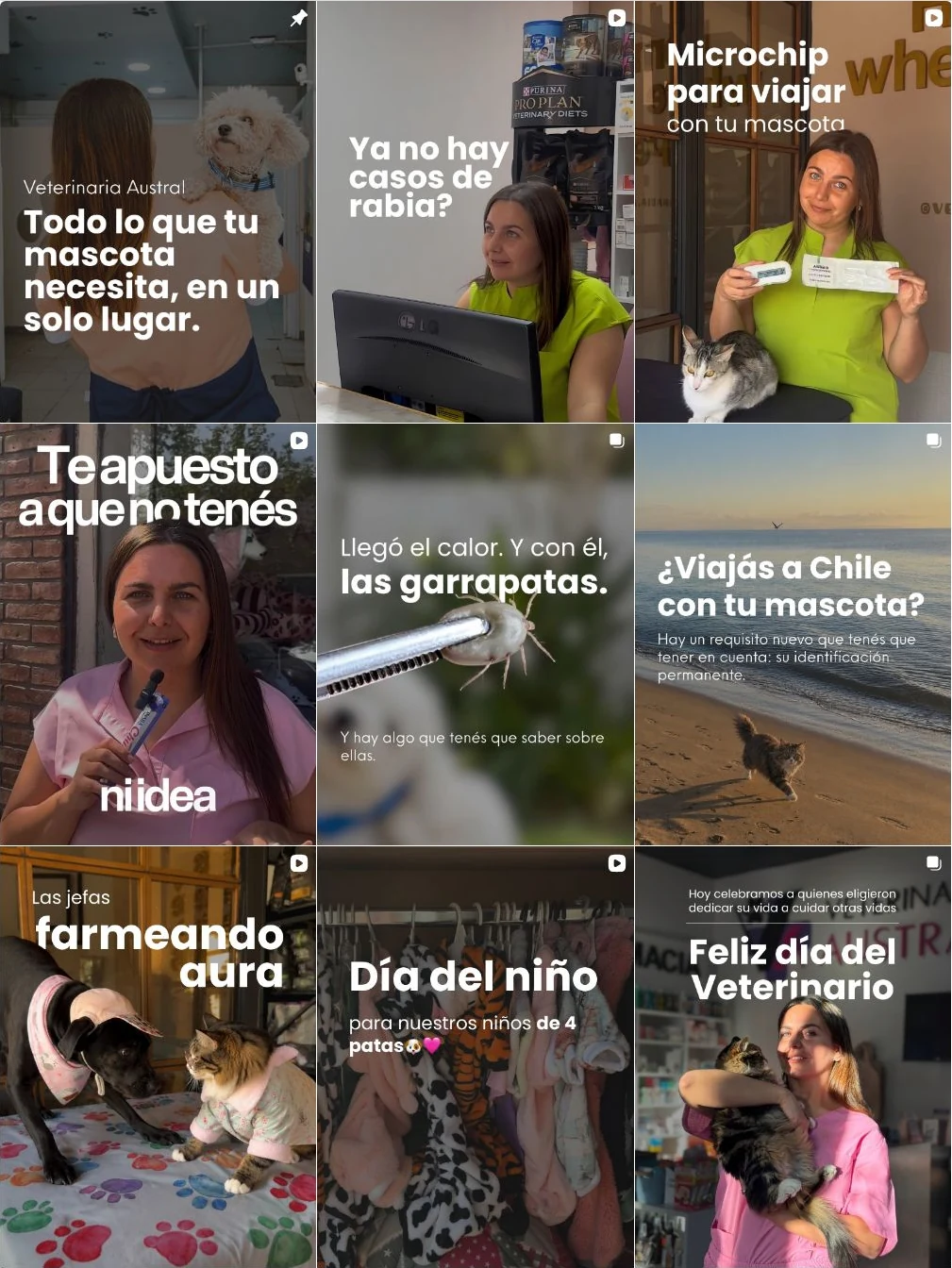 Publicaciones reales del feed de Veterinaria Austral